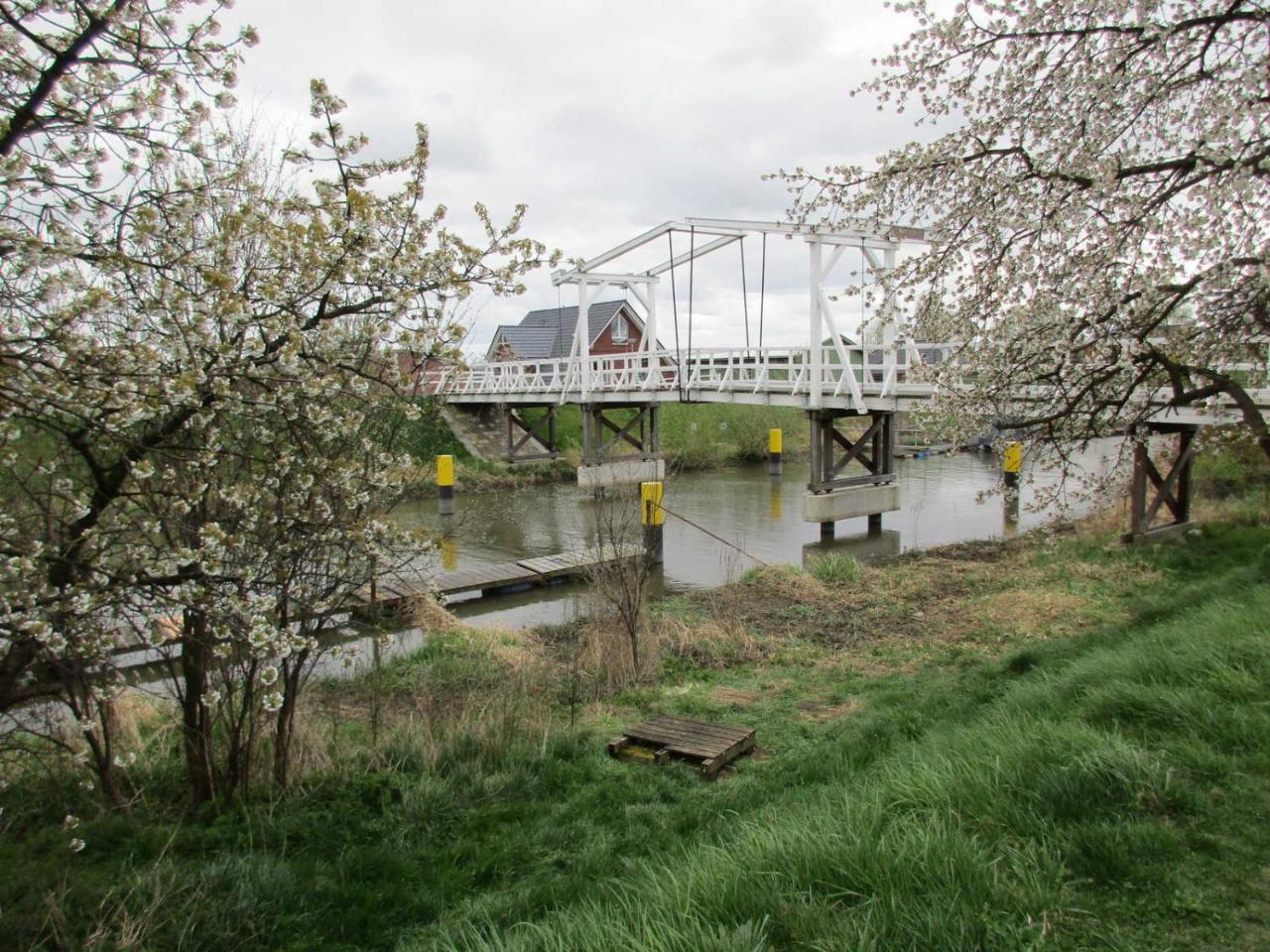 Ferienwohnung Altes Land Familie H Steinkirchen  Exterior foto